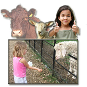 Petting Zoo Animals