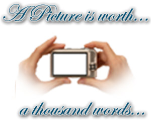 Photo Gallery
